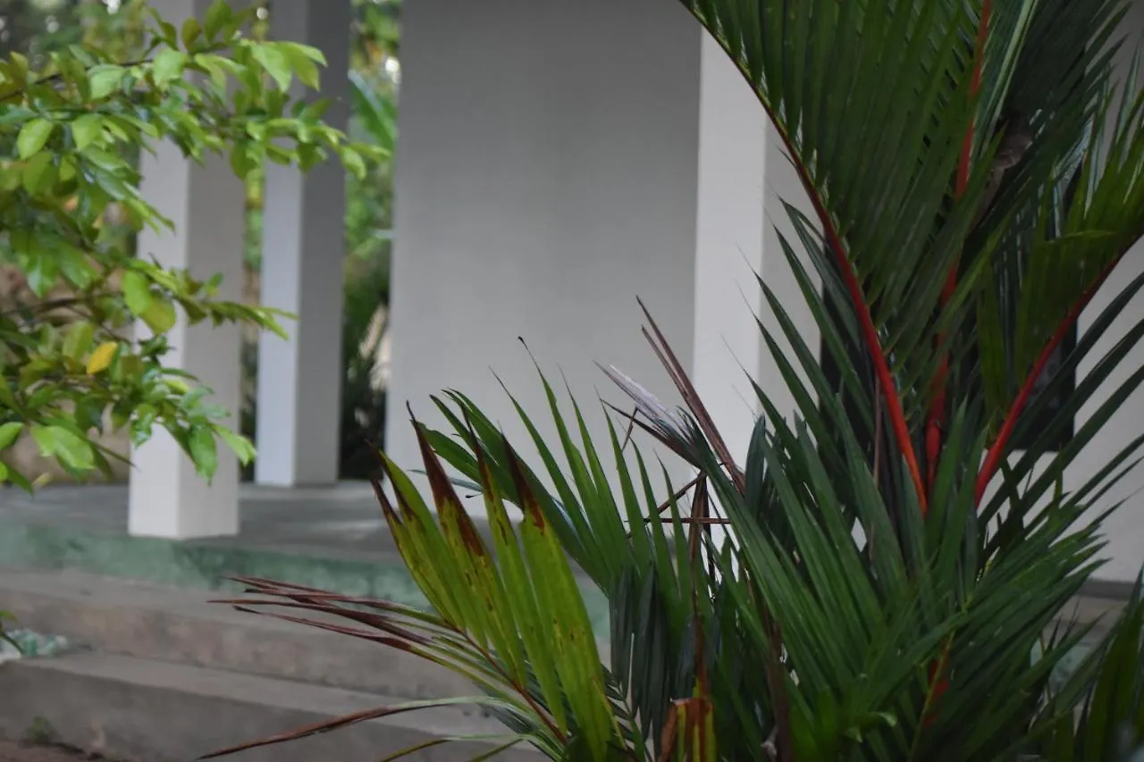 Villa Sebastian'S Oasis Homestay Mararikulam